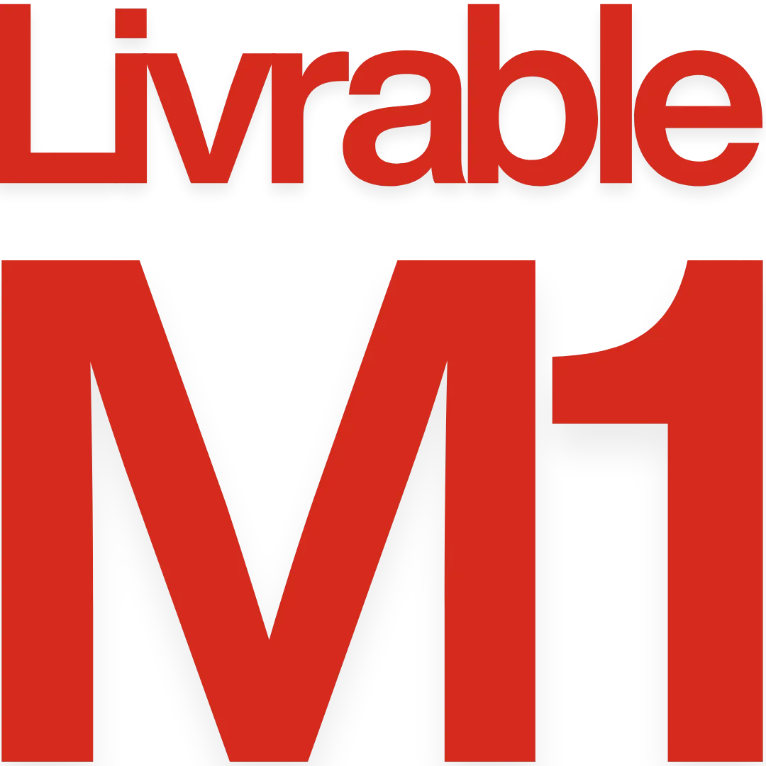 Stratégie & Plan 90j